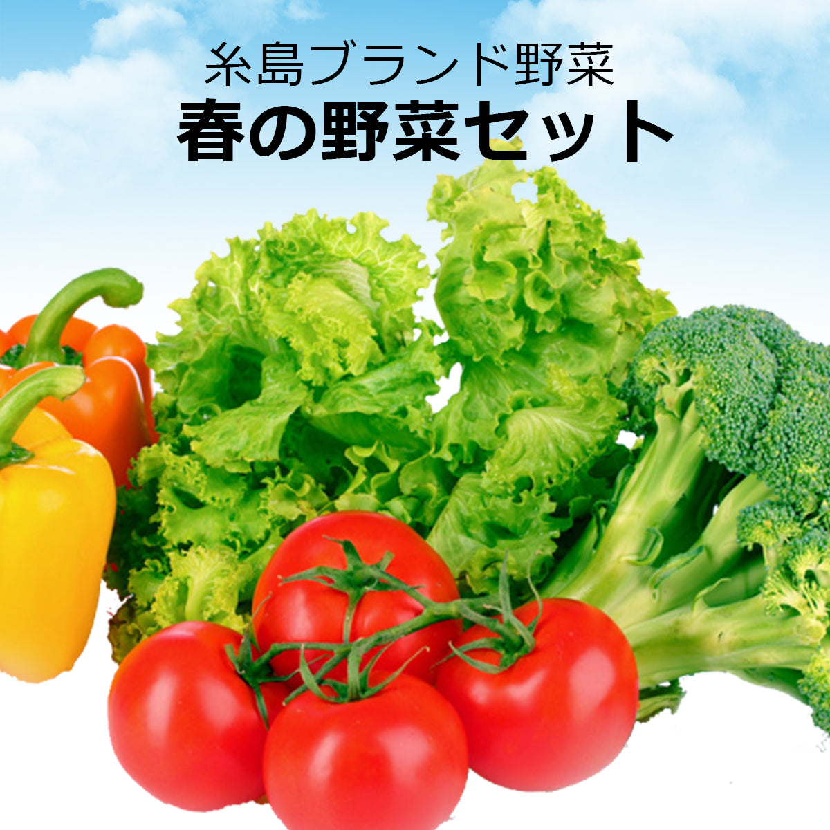 【糸島ブランド野菜】春の野菜セット