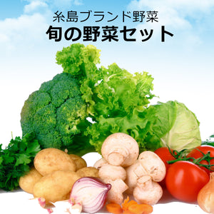 【糸島ブランド野菜】旬の野菜セット