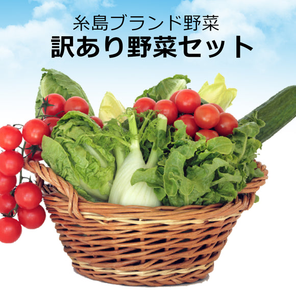 【糸島ブランド野菜】訳あり野菜セット