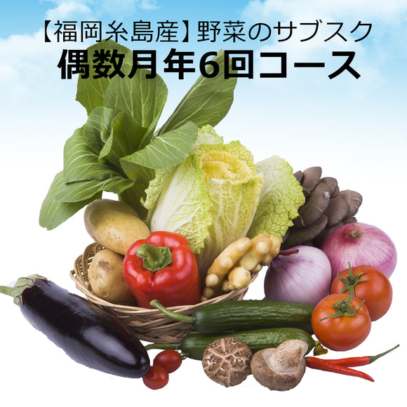 【野菜のサブスク】【定期便】季節の糸島野菜セット　偶数月年6回コース